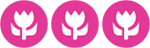 Widget Image