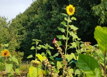20190828_115738