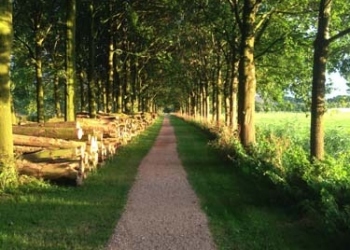 Afbeelding-2-1